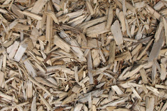 biomass boilers Frittiscombe